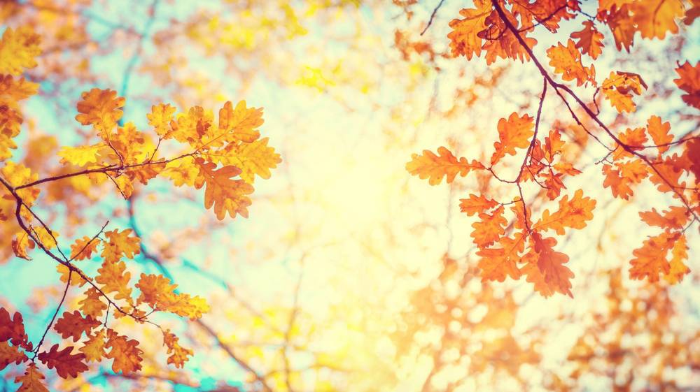 Octubre, un mes perfecto para tomar un respiro