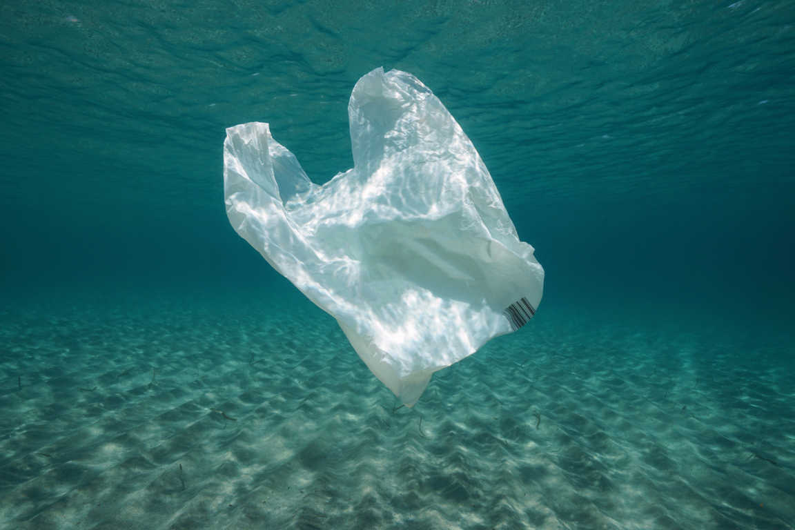 El plástico y la concienciación social